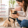 Soft Mesh Dog Muzzle for Small Dogs – Breathable Grooming Fit
